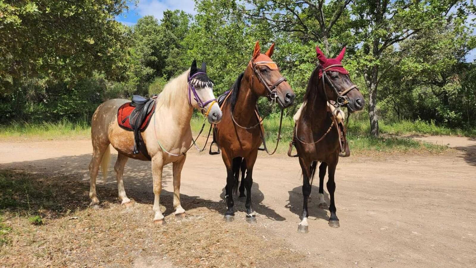La Cabane Aux Chevaux Varages 외부 사진